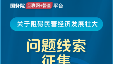 嫩逼随便日国务院“互联网+督查”平台公开征集阻碍民营经济发展壮大问题线索